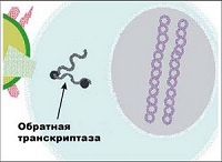 Механизм действия Панавира